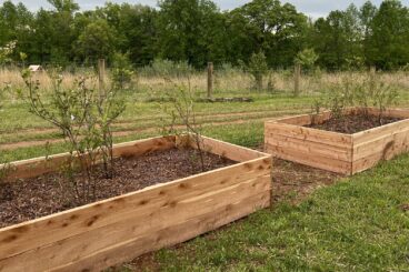 RAISED GARNED BEDS